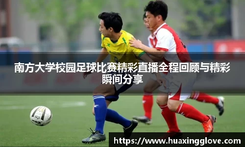九游娱乐官网入口